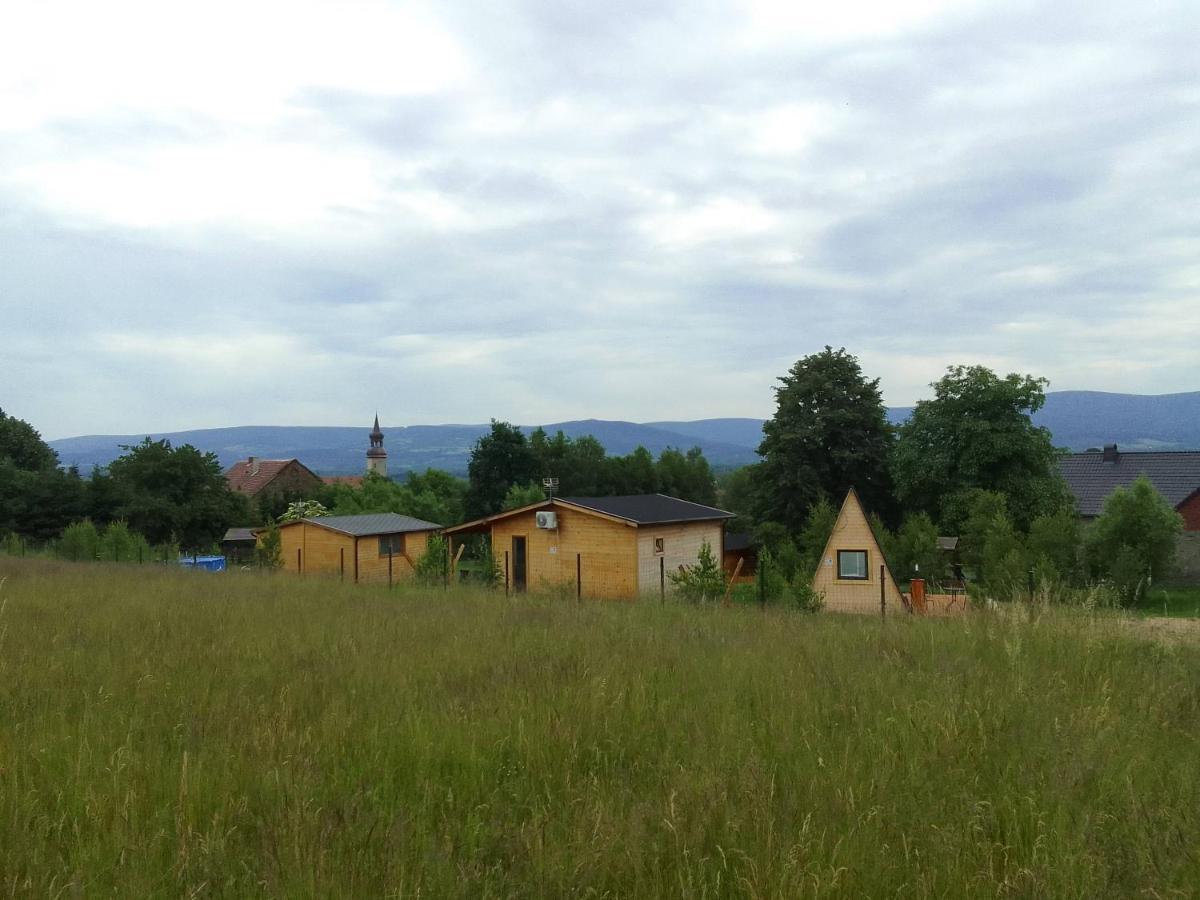 Szalas W Gorach Izerskich, Blisko Swieradow Zdroj I Zamek Czocha, Agroturystyka, Ogrzewanie, Klimatyzacja , Plac Zabaw, Ognisko Z Rusztem I Kijkami, Zywe Zwierzeta, Latem Basen Mirsk Exterior foto